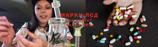 spice Аркадак