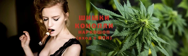 spice Аркадак