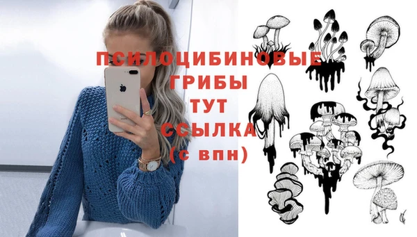 spice Аркадак
