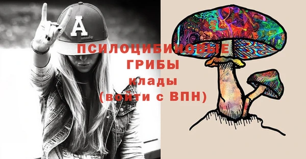 дживик Арсеньев