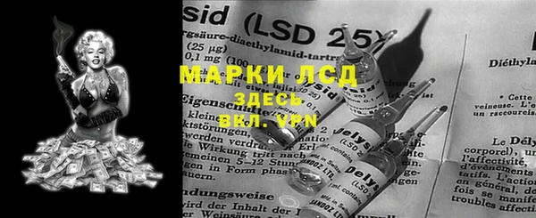 spice Аркадак