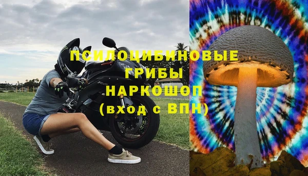дживик Арсеньев