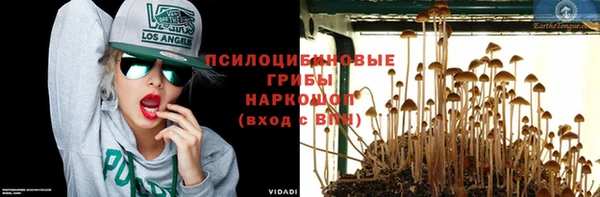 дживик Арсеньев