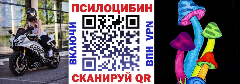 KRAKEN маркетплейс  Калач  Псилоцибиновые грибы Psilocybine cubensis 